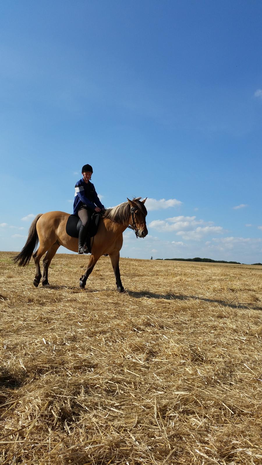 Anden særlig race Lille Kalle billede 13