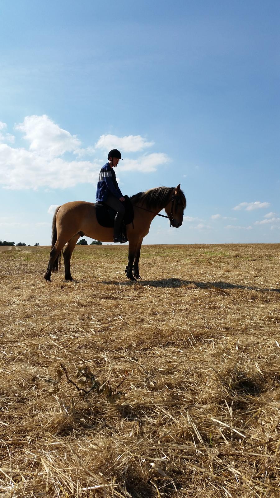 Anden særlig race Lille Kalle billede 14