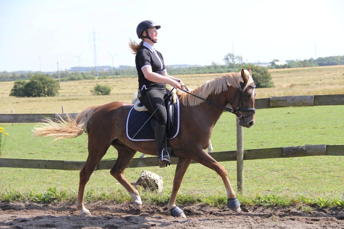 DSP Sunspot billede 3