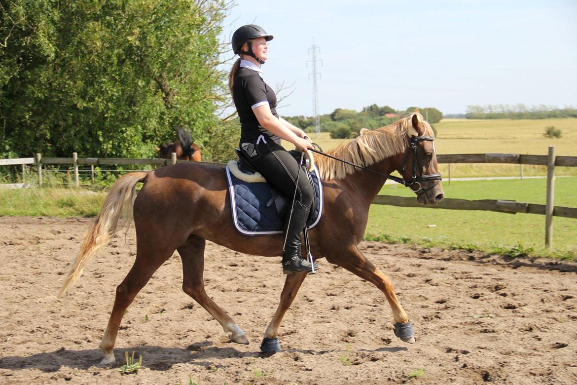 DSP Sunspot billede 21