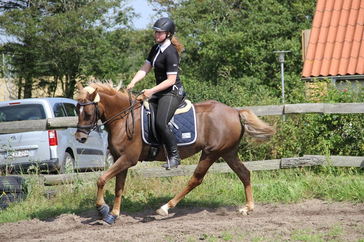 DSP Sunspot billede 5