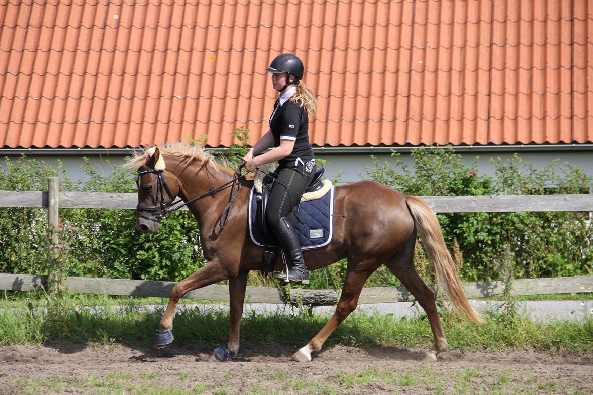 DSP Sunspot billede 6