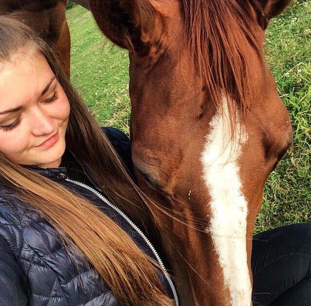 Hannoveraner Lady La Martina billede 29