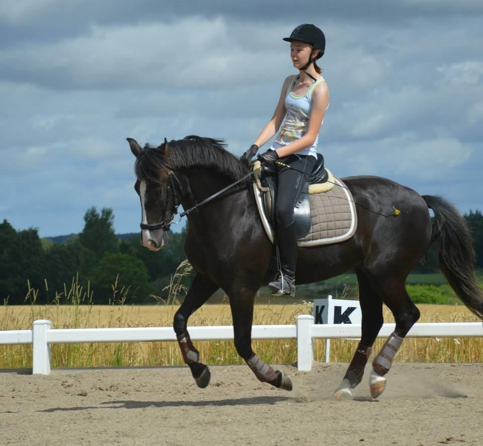 New Forest Southforks Athos - Seierskilde Sommerskole 2015 billede 8