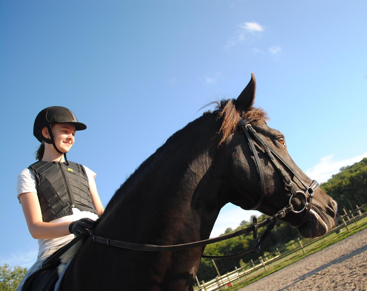 New Forest Southforks Athos - Springundervisning sommer 2015 billede 24