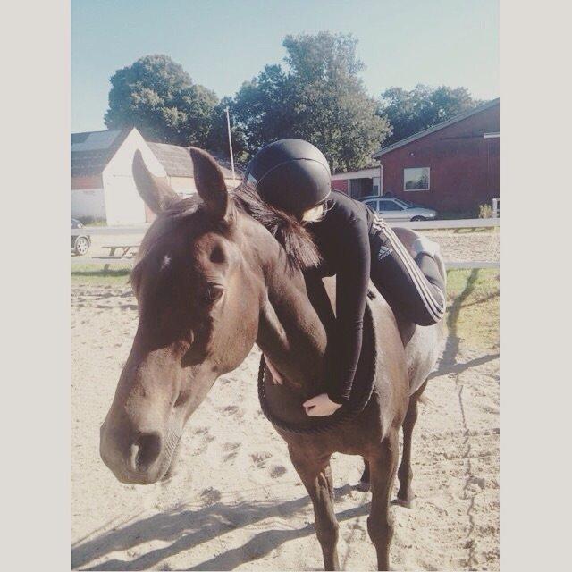 Traver Juvel Møllegaard [HIMMELHEST] - Ingen kan erstatte det vi havde<3  billede 9