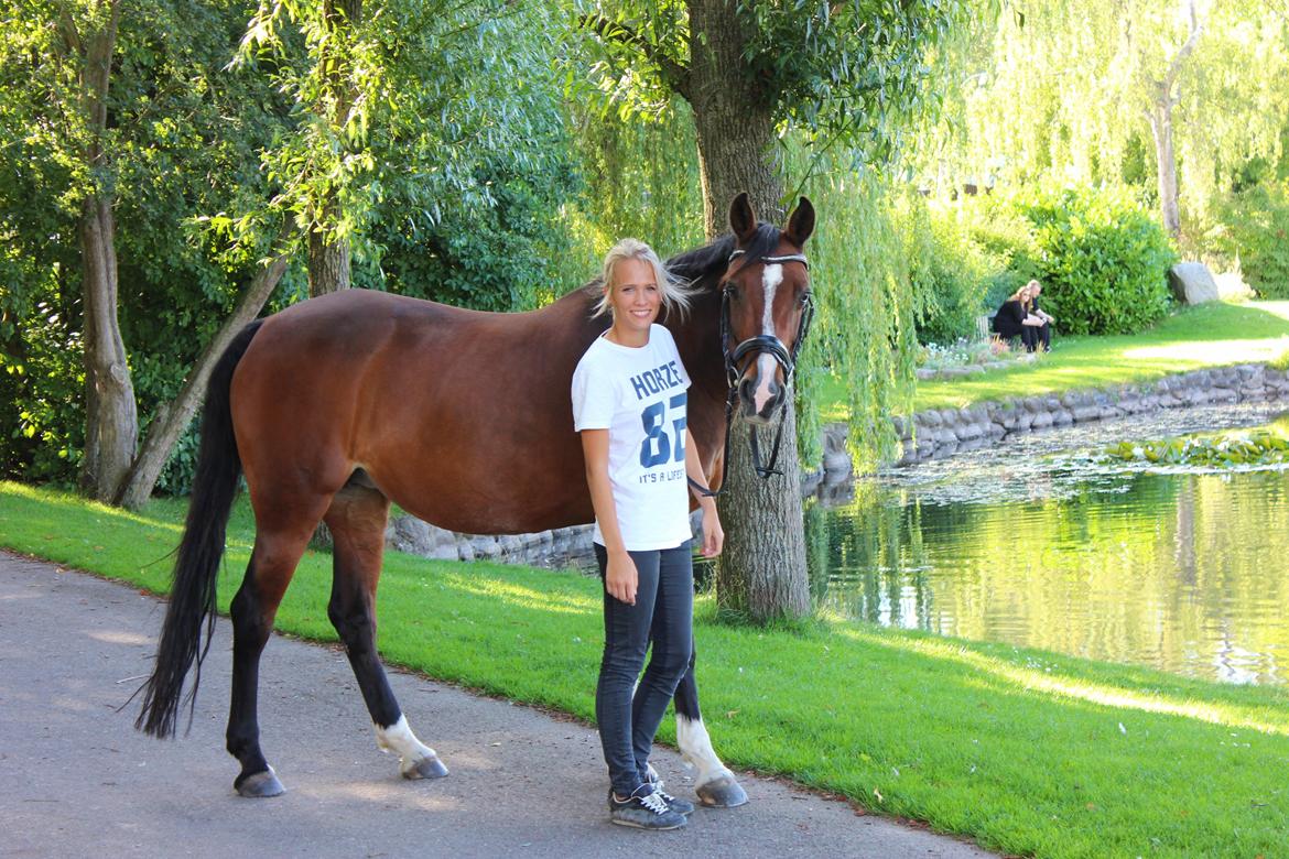 Dansk Varmblod Fantasy [Tidl. part] billede 11