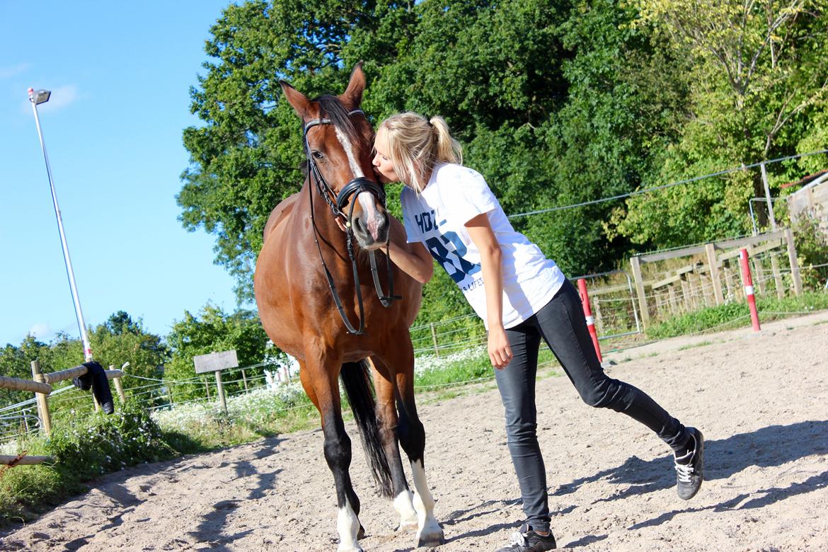 Dansk Varmblod Fantasy [Tidl. part] billede 19