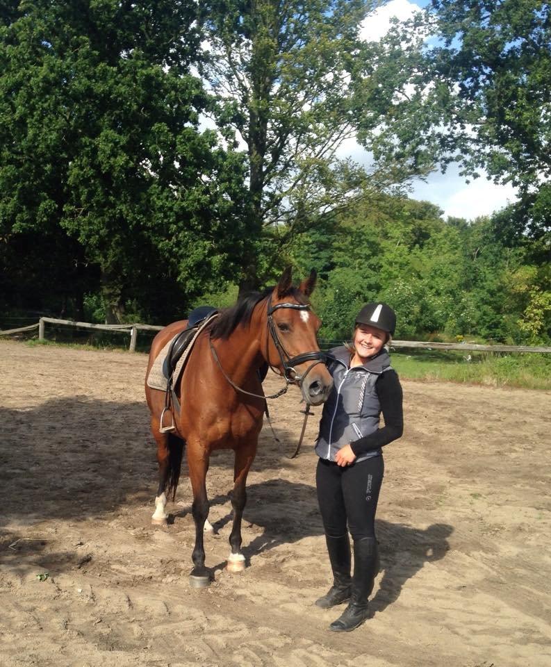 Dansk Varmblod Gabriella billede 7