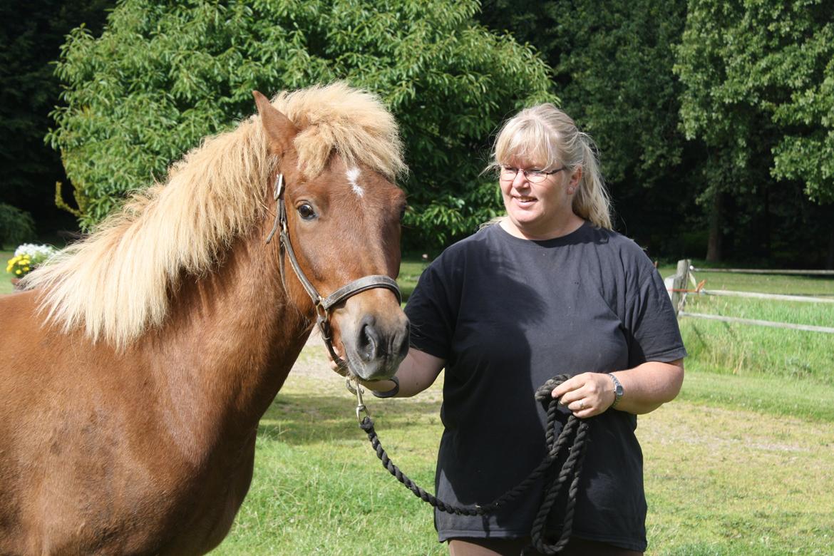 Islænder Tjalfe fra Lykkestrup billede 4