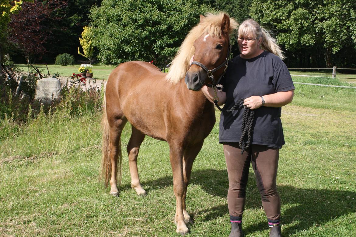 Islænder Tjalfe fra Lykkestrup billede 6