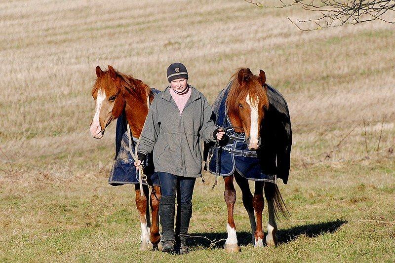 Arabisk fuldblod (OX) Itaya El Shaklan - Itaya 1 år :-D billede 44