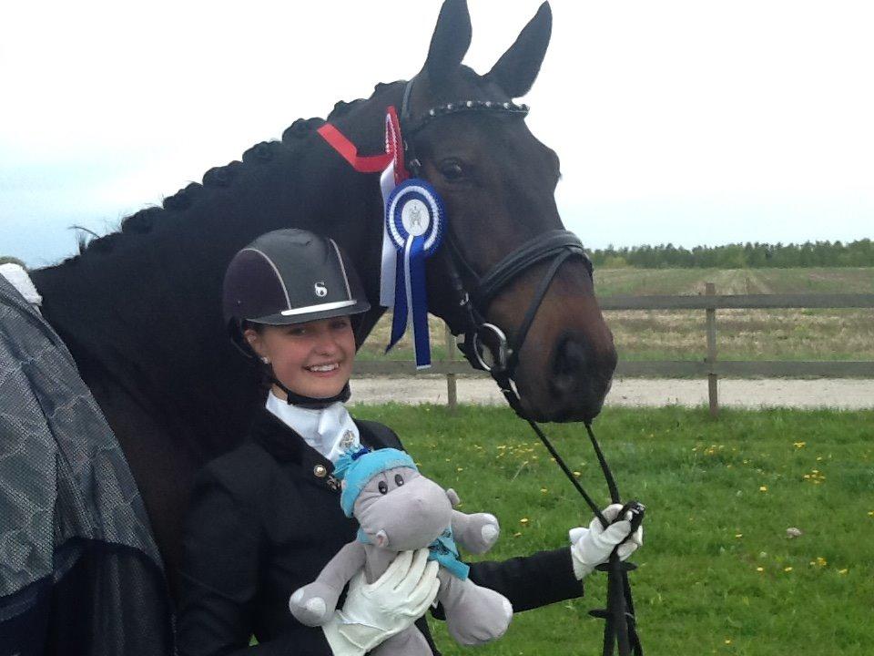 Dansk Varmblod Drisdal's Flying Thyson billede 4