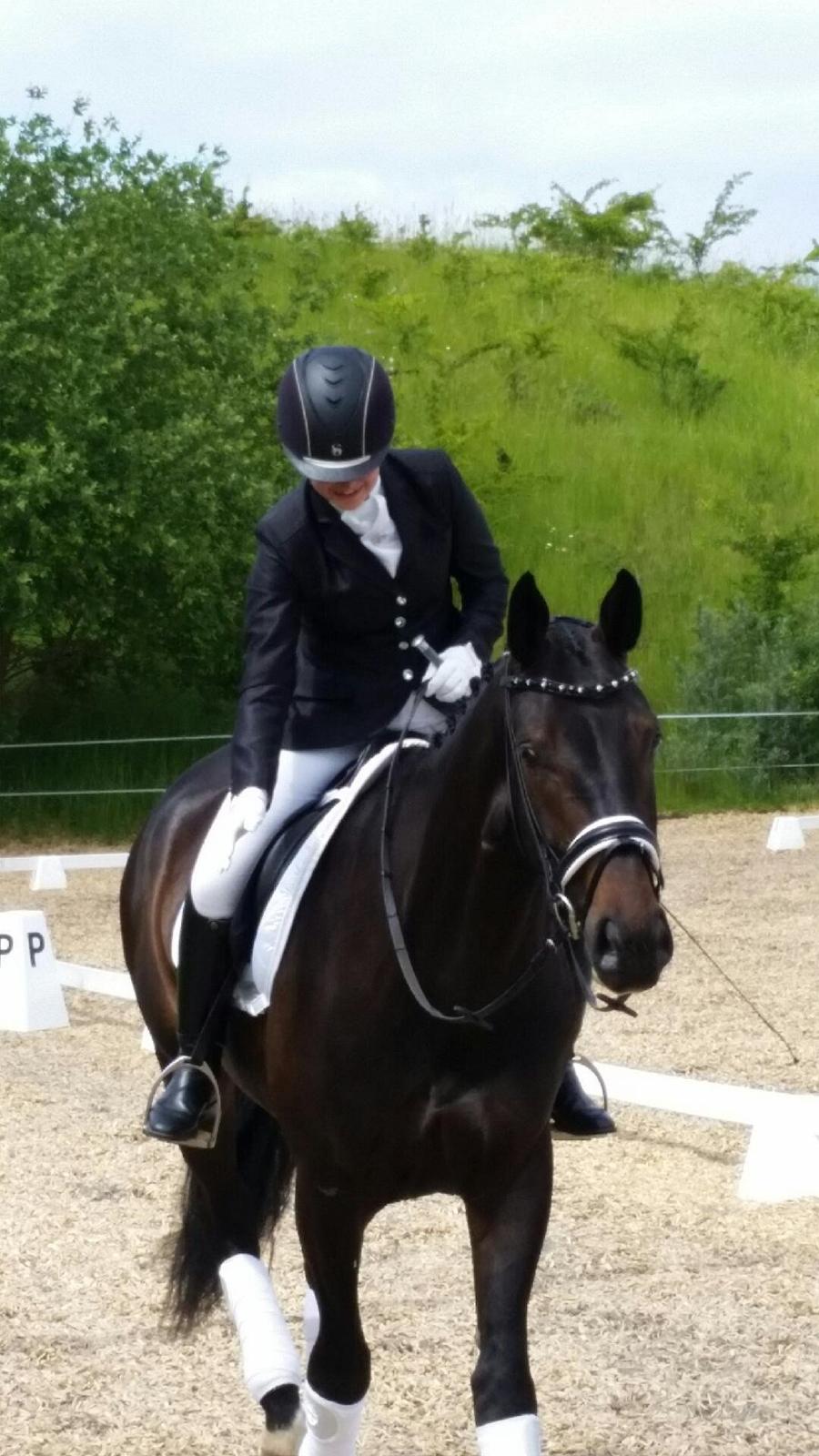 Dansk Varmblod Drisdal's Flying Thyson billede 6