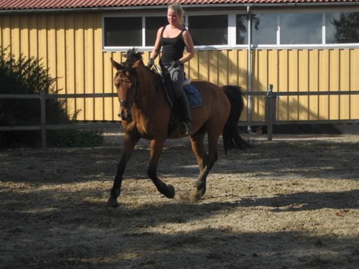 Sportsaraber (A) Raimond Teglgård billede 18