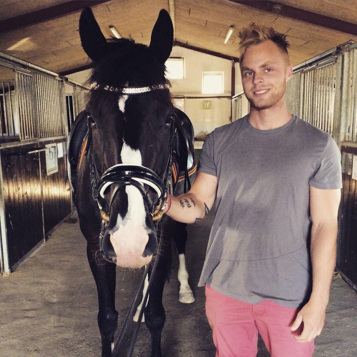Dansk Varmblod | Møgelvangs Chaki Noir billede 18