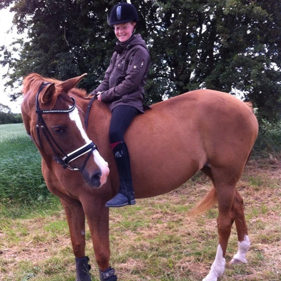 Anden særlig race Nete billede 3