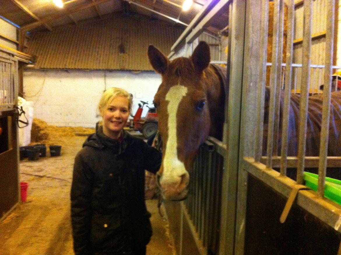 Anden særlig race Nete billede 10