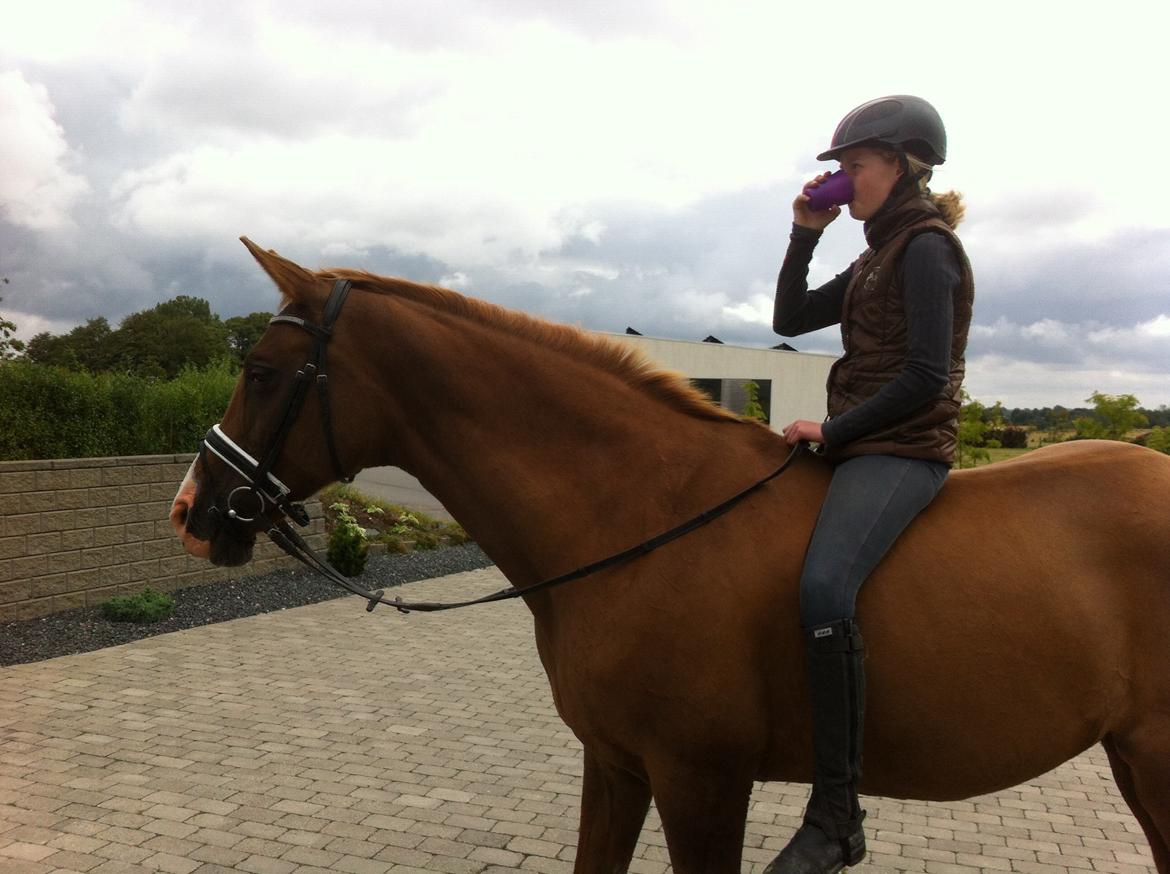 Anden særlig race Nete billede 1