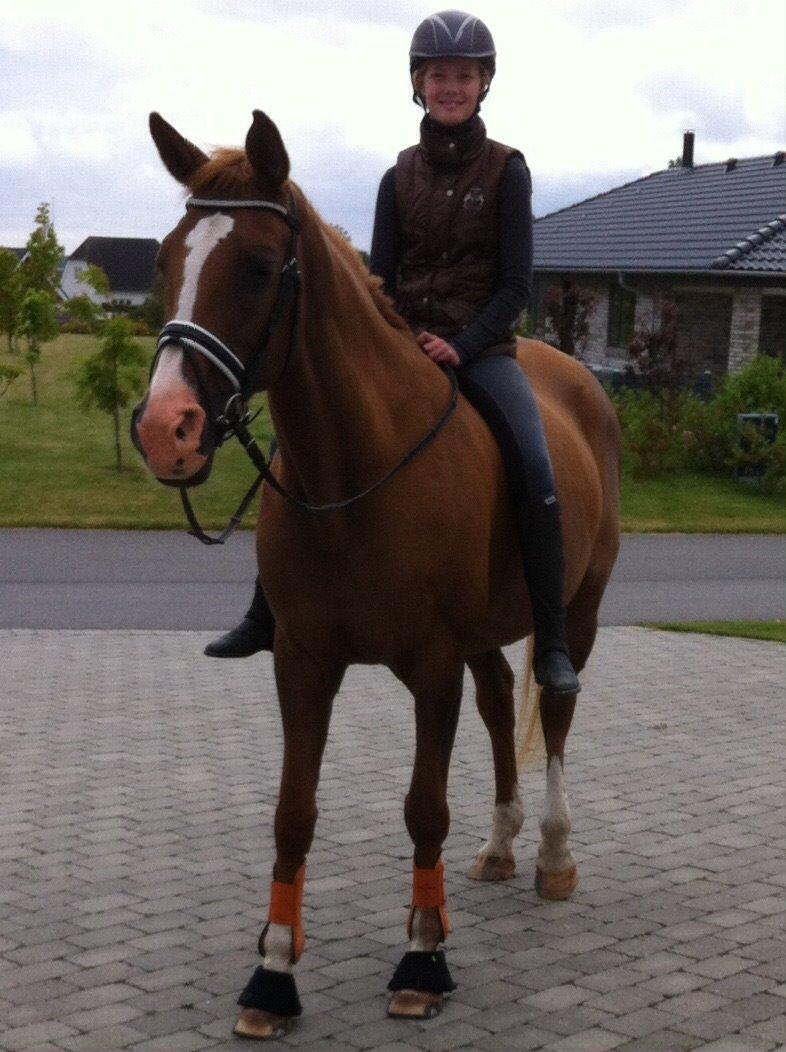 Anden særlig race Nete billede 2