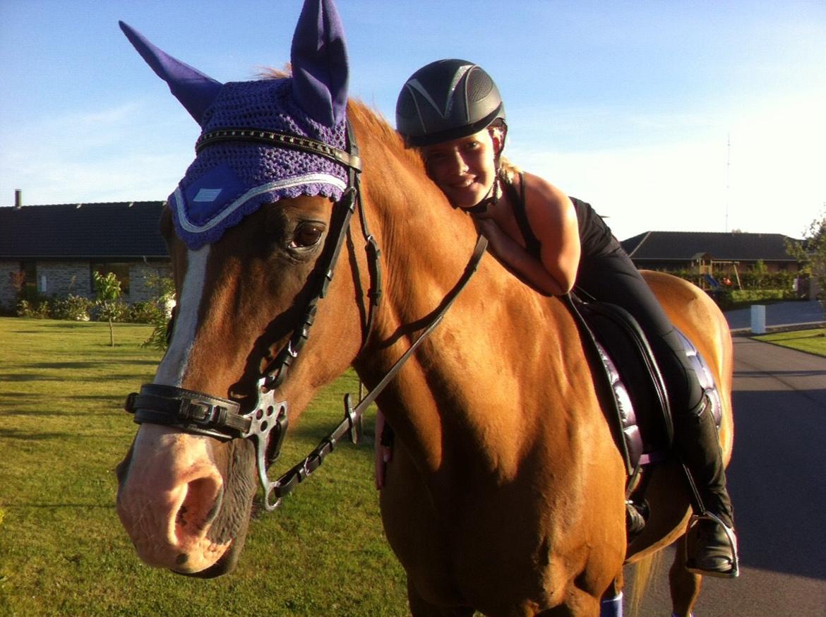 Anden særlig race Nete billede 4