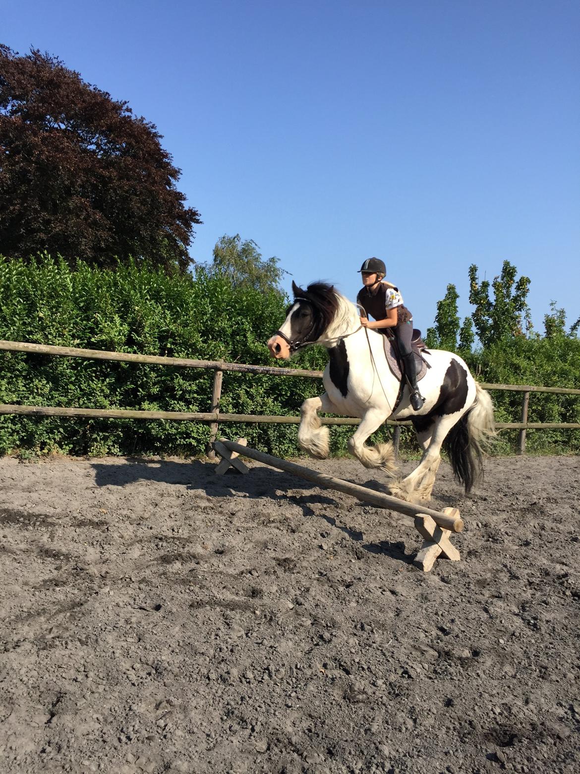 Tinker Kenzo's thumps up *kenny*  billede 4