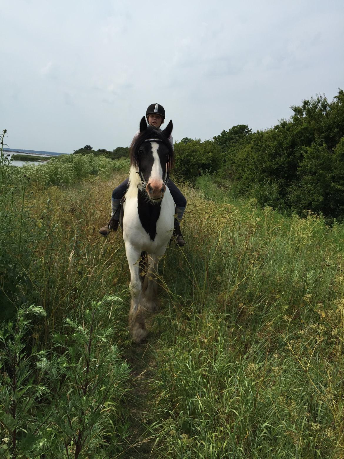 Tinker Kenzo's thumps up *kenny*  billede 5