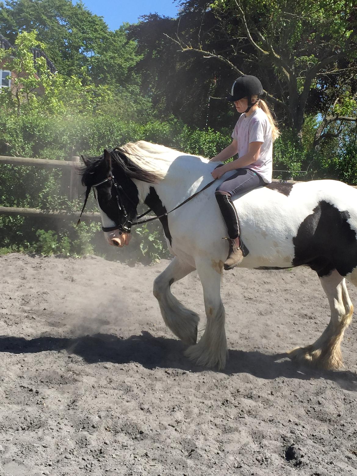 Tinker Kenzo's thumps up *kenny*  billede 6