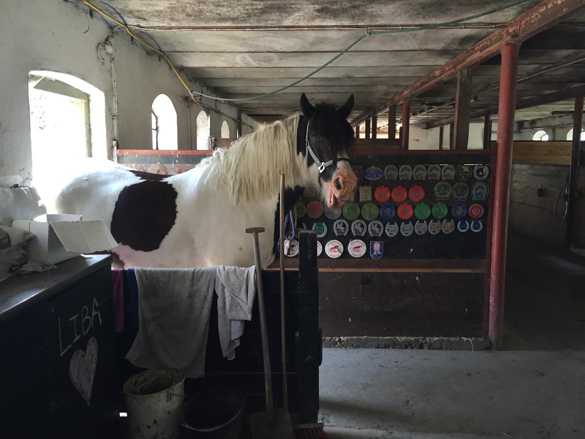 Tinker Kenzo's thumps up *kenny*  billede 9