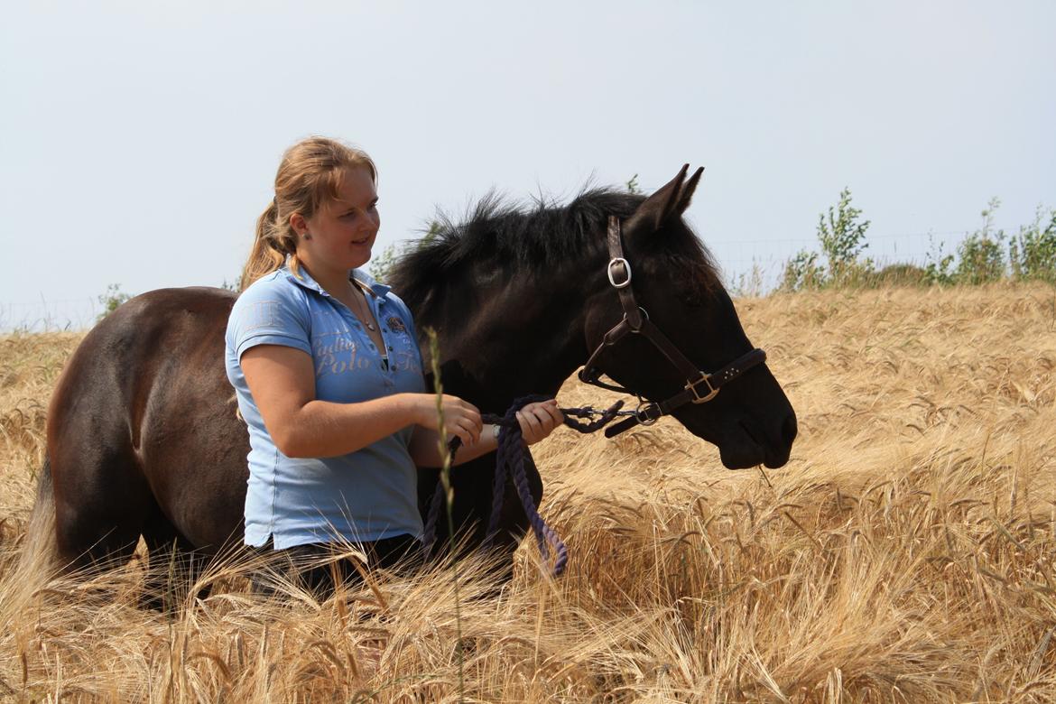 New Forest Fuglsangs Sweet Cookie billede 4