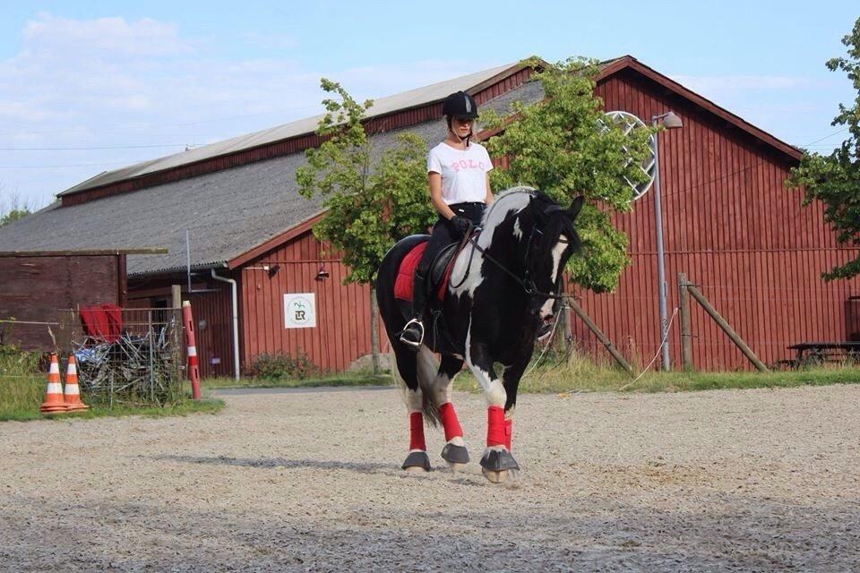 Tinker Charmer - Velkommen til Charmers profil! billede 1