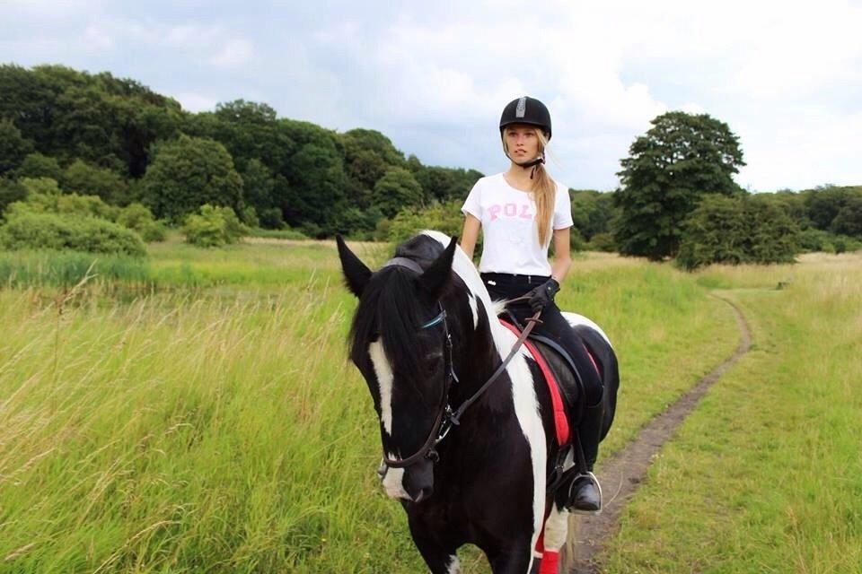 Tinker Charmer billede 2