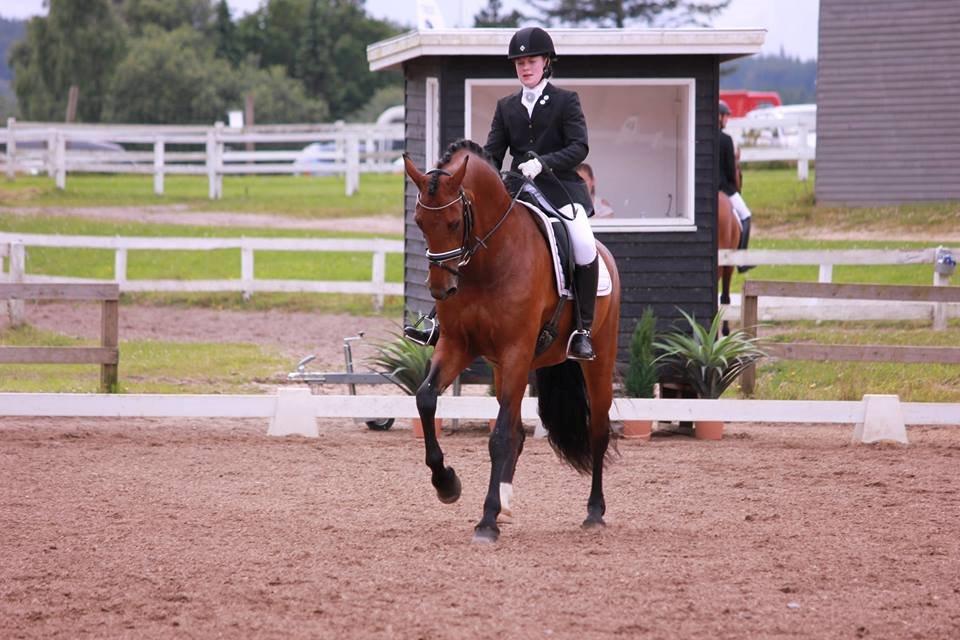 Oldenborg Java Rævdal billede 9