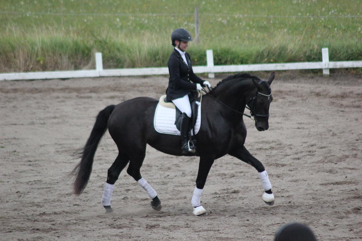 Oldenborg Flying Betty billede 12