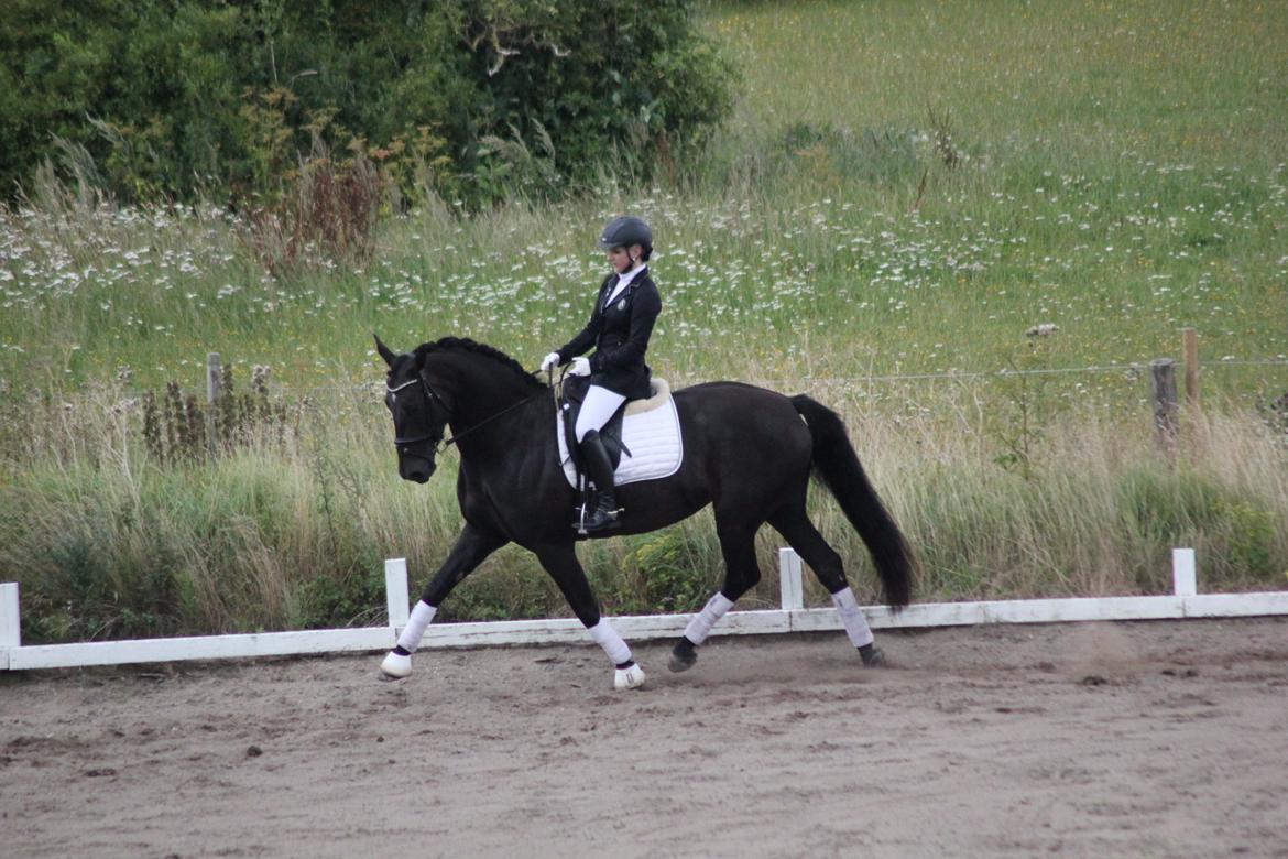 Oldenborg Flying Betty billede 17