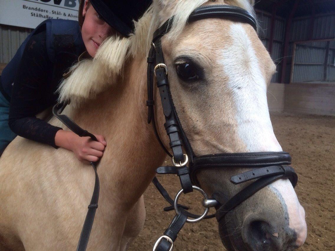 Anden særlig race Ane :-) billede 1