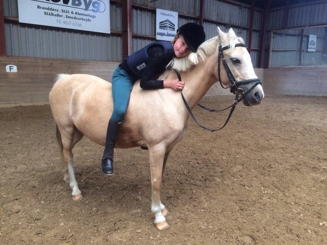 Anden særlig race Ane :-) billede 2