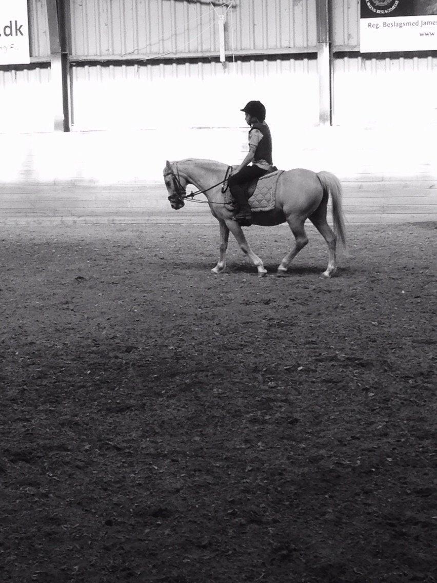 Anden særlig race Ane :-) billede 6