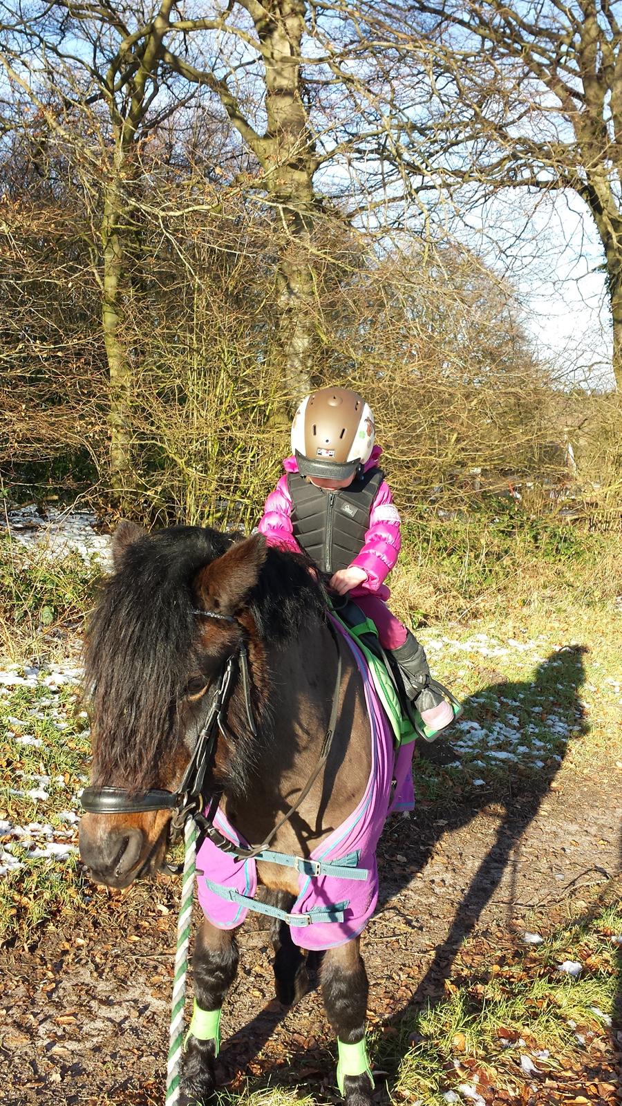 Dartmoor Innis Nissen billede 7