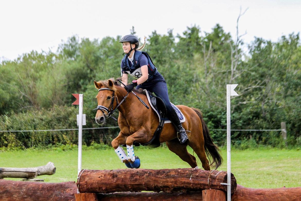 New Forest Flying Red Chili - cncp80 på SØG - disciplinvinder i terrænet billede 14