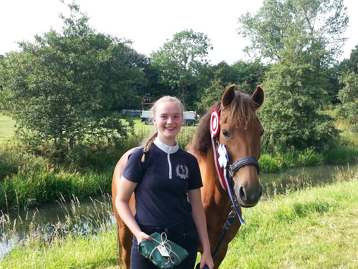 New Forest Flying Red Chili - cncp80 på SØG - samlet 2. plads billede 16