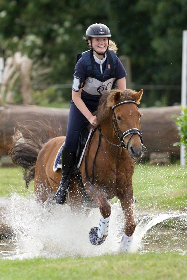 New Forest Flying Red Chili - cncp70 på SØG - disciplinvinder i terrænet billede 18