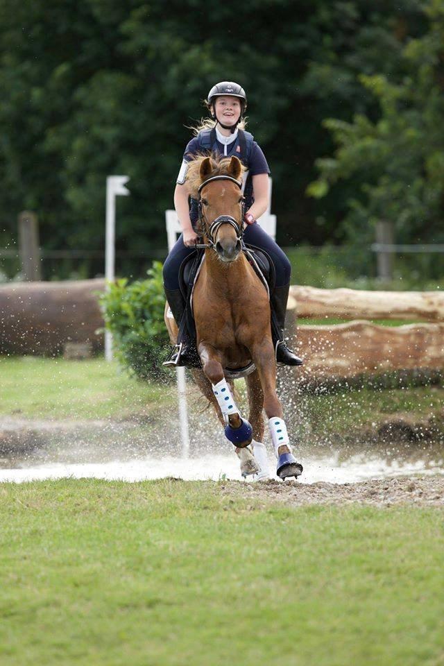 New Forest Flying Red Chili - cncp70 på SØG - disciplinvinder i terrænet billede 20