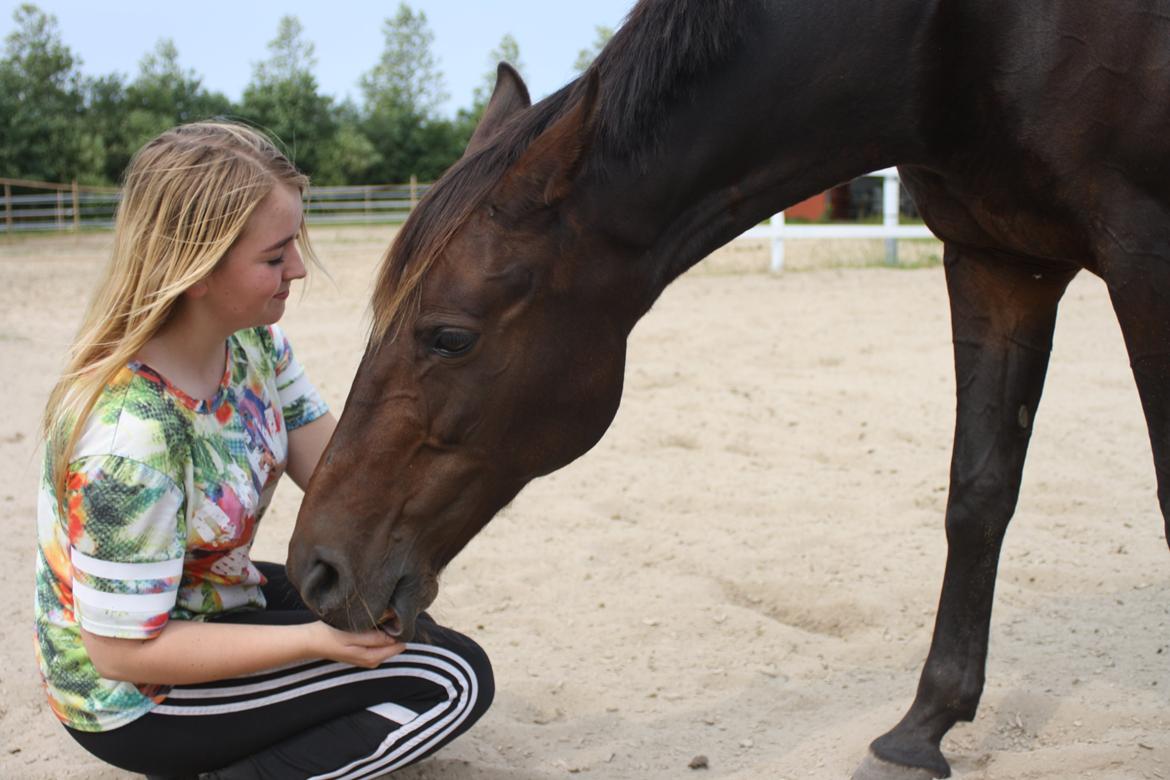 Traver Juvel Møllegaard [HIMMELHEST] - Sidste dag med hende <3 billede 7