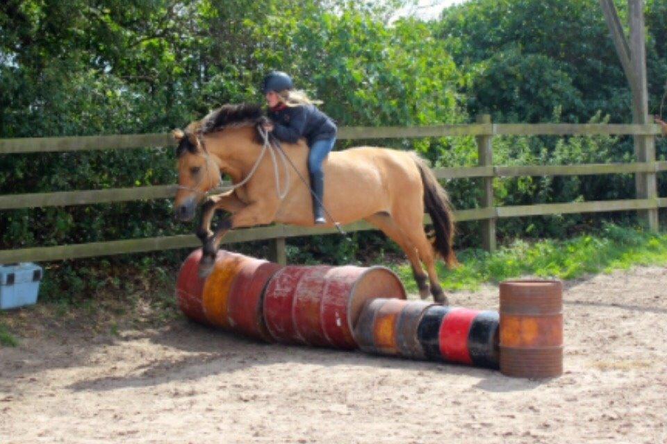 Anden særlig race Maude af mølleagergård - bidløst over tønder billede 10