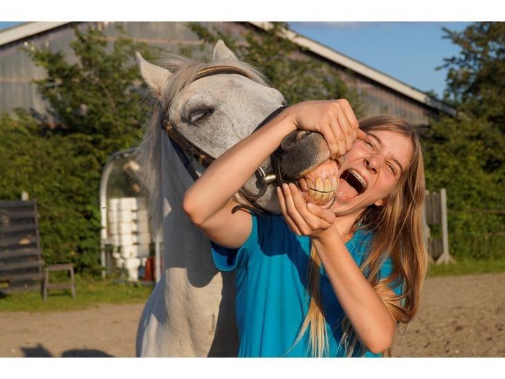 Anden særlig race Michilin - Min bedste ven, er den der bringer det bedste frem i mig <3 billede 4