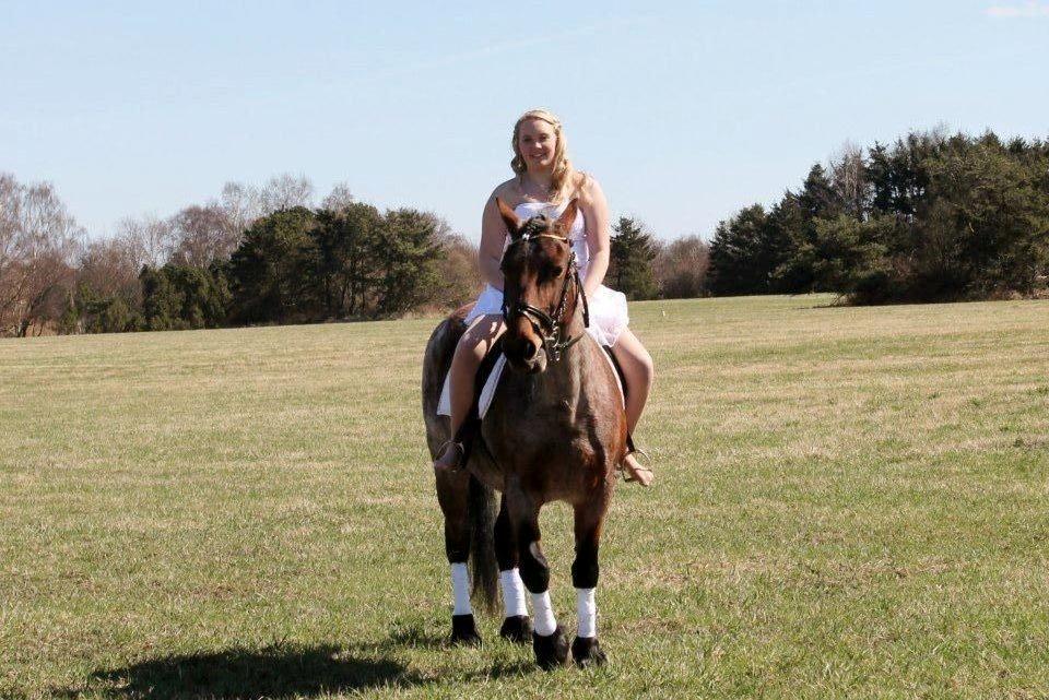 Anden særlig race Donna Karan - Så øv stigbøjlerne ikke var rettet :') De var sat til hende der red hende ned til kirken og hun aldeles mindre end mig... billede 3