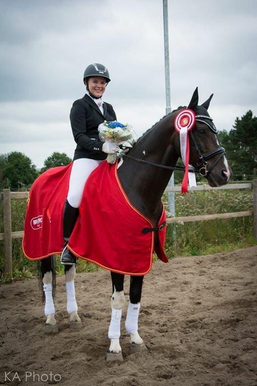 Pinto DELCAPONE billede 3