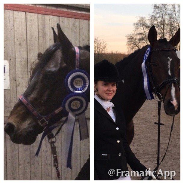 Pinto DELCAPONE billede 7