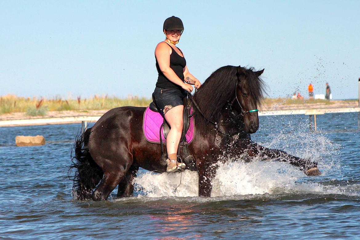 Frieser And They Named Him Lucky - Luckys første tur ud og bade :) D. 13 August 2015. 4 års. billede 12